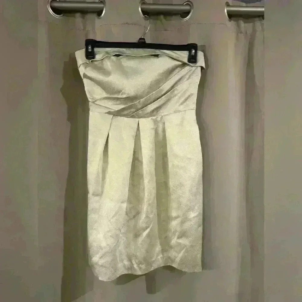 Women’s Strapless David’s Bridal Dress